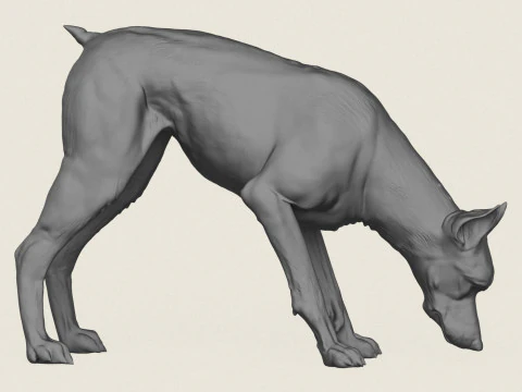 Doberman Dog Eating 3D Print Model