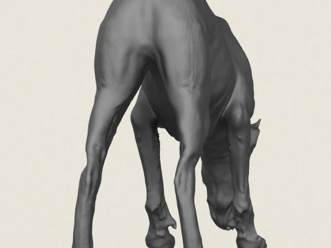 Doberman Dog Eating 3D Print Model
