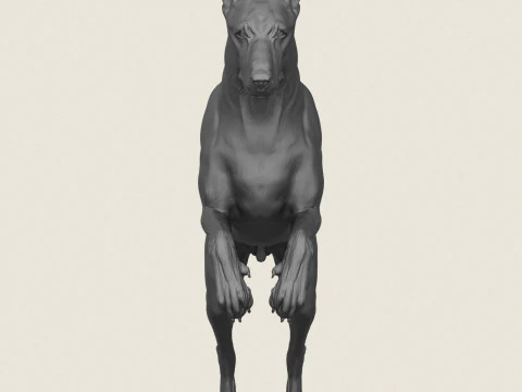 Doberman Dog Jumping 3D Print Model