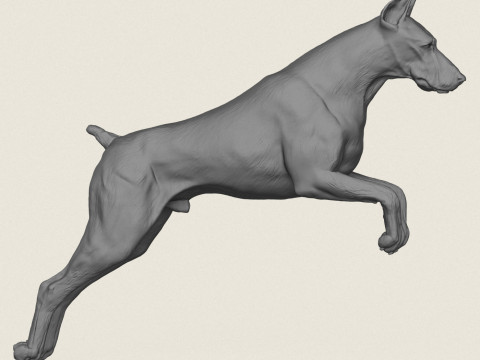 Doberman Dog Jumping 3D Print Model