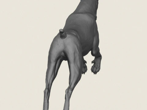 Doberman Dog Jumping 3D Print Model