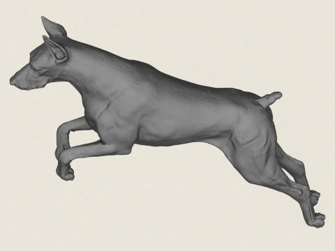 Doberman Dog Jumping 3D Print Model