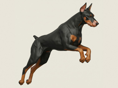 도베르만 개 점프 3D 프린트 모델