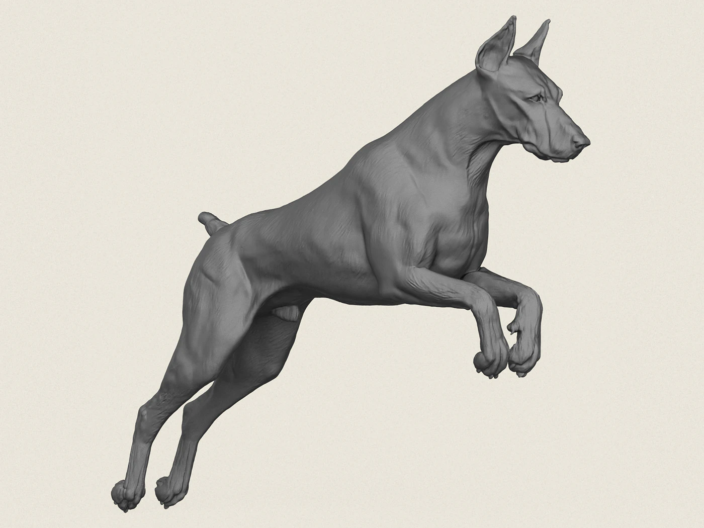 Doberman Dog Jumping 3D Print Model .c4d .max .obj .3ds .fbx .stl .blend 