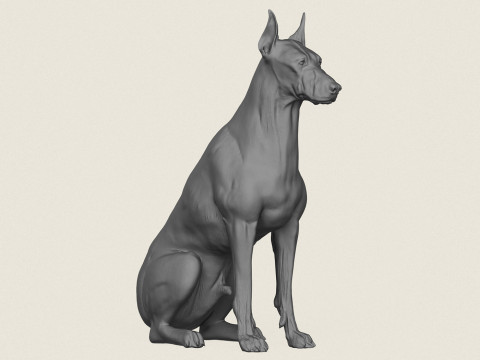 Doberman Dog Sitting 3D Print Model
