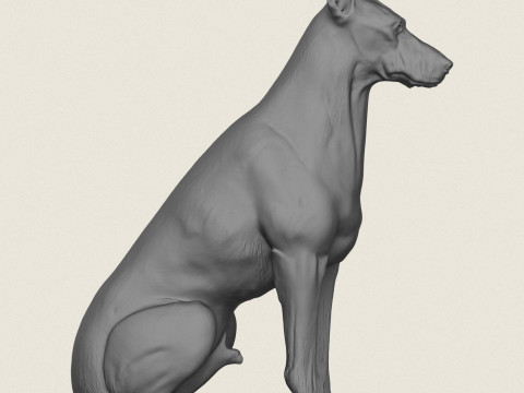 Doberman Dog Sitting 3D Print Model