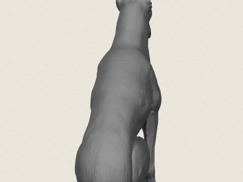 Doberman Dog Sitting 3D Print Model