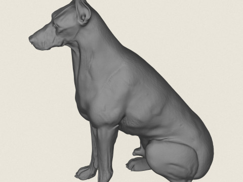 Doberman Dog Sitting 3D Print Model