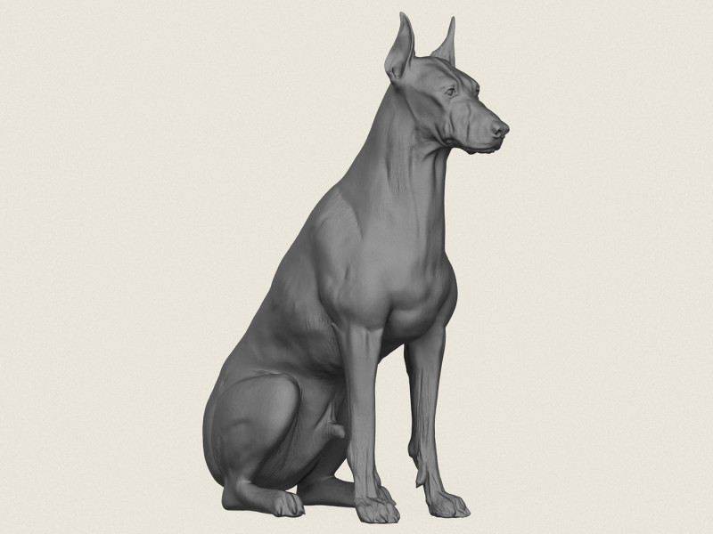 Doberman Dog Sitting 3D Print Model .c4d .max .obj .3ds .fbx .stl .blend 
