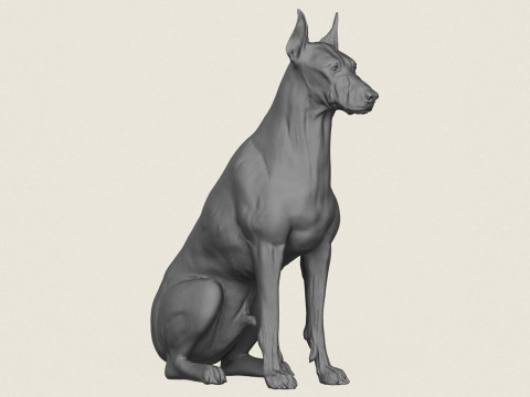 Perro Doberman Sentado Modelo de impresión 3D