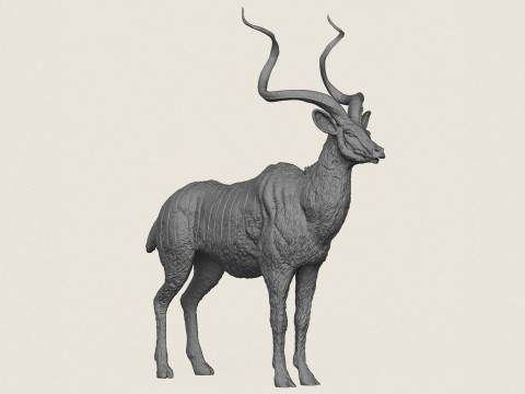 Kudu Antelope Animal 3D Print Model