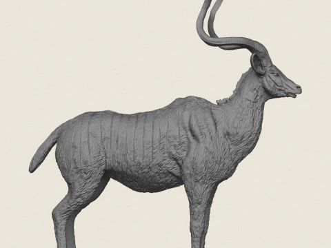 Kudu Deer Animal 3D Print Model