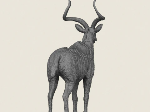 Kudu Deer Animal 3D Print Model