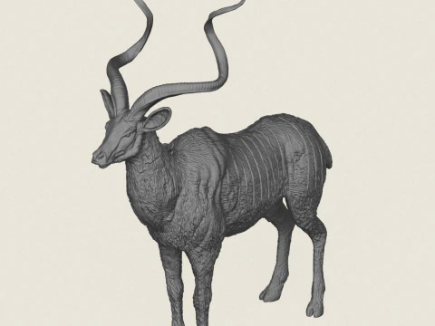 Kudu Deer Animal 3D Print Model
