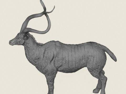 Kudu Deer Animal 3D Print Model
