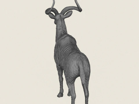 Kudu Deer Animal 3D Print Model