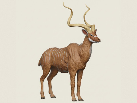 कुडू हिरण पशु 3D प्रिंट मॉडल