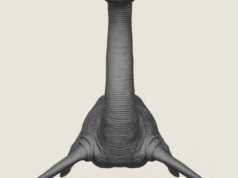 Water Dragon Monster 3D Print Model