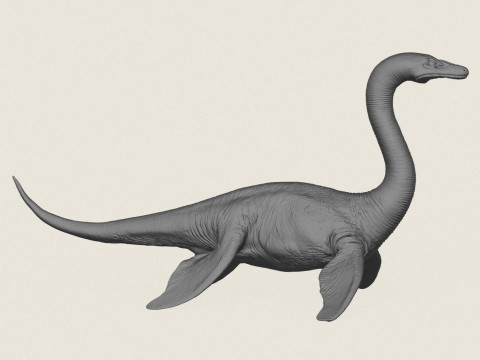 Su Ejderhası Canavarı 3D Baskı Modeli