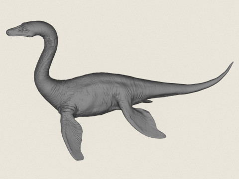 Su Ejderhası Canavarı 3D Baskı Modeli