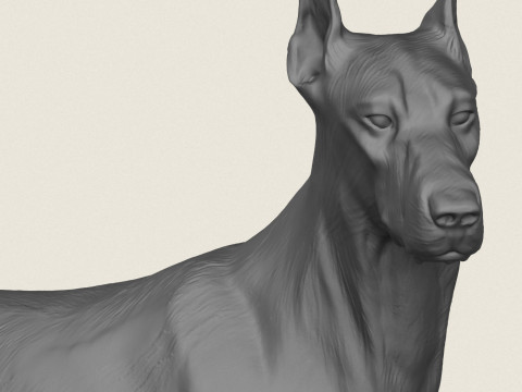 Doberman Dog Friendly Pose 3D Print Model