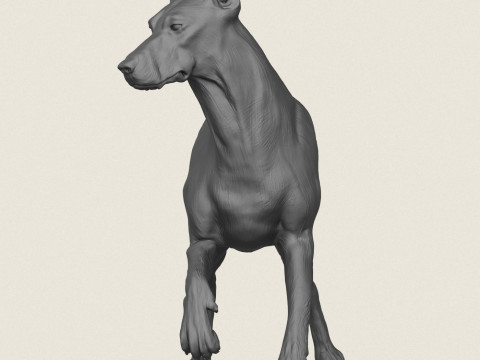 Doberman Dog Friendly Pose 3D Print Model