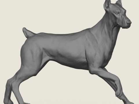 Doberman Dog Friendly Pose 3D Print Model
