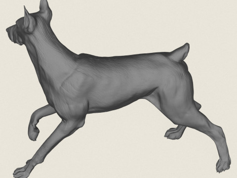 Doberman Dog Friendly Pose 3D Print Model