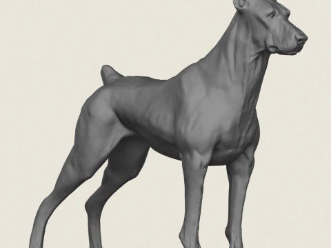 Doberman Dog Pose Collection 3D Print Model
