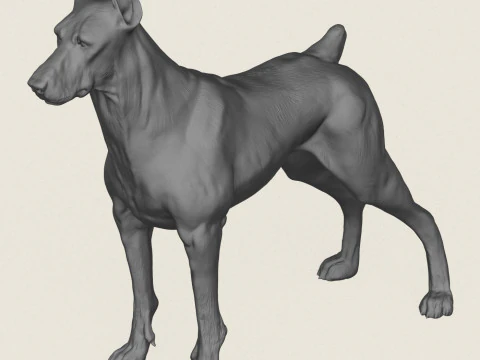 Doberman Dog Pose Collection 3D Print Model