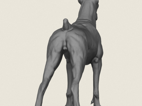 Doberman K&ouml;pek Pozu Koleksiyonu 3D Baskı Modeli