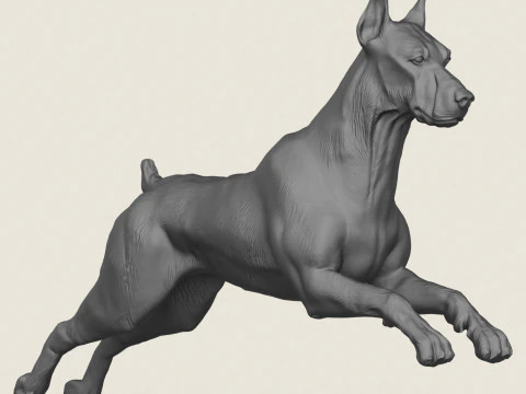 Doberman Dog Pose Collection 3D Print Model