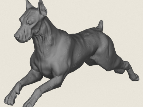Doberman K&ouml;pek Pozu Koleksiyonu 3D Baskı Modeli