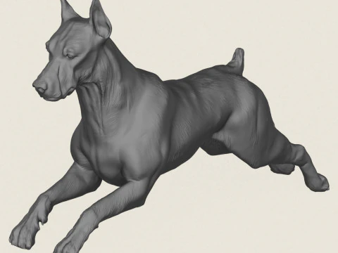 Doberman Dog Pose Collection 3D Print Model