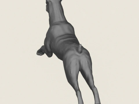 Doberman Dog Pose Collection 3D Print Model