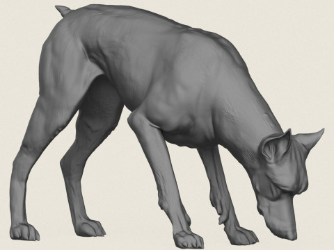 Doberman K&ouml;pek Pozu Koleksiyonu 3D Baskı Modeli
