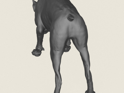 Doberman K&ouml;pek Pozu Koleksiyonu 3D Baskı Modeli