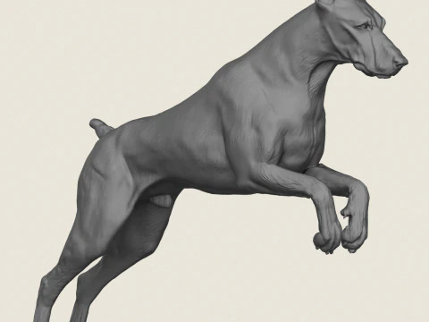 Doberman Dog Pose Collection 3D Print Model