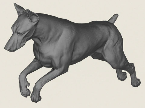 Doberman Dog Pose Collection 3D Print Model