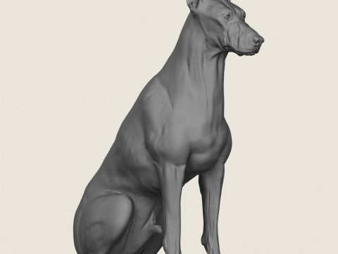 Doberman K&ouml;pek Pozu Koleksiyonu 3D Baskı Modeli