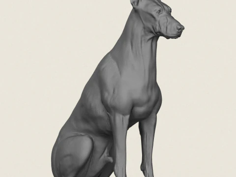 Doberman Dog Pose Collection 3D Print Model
