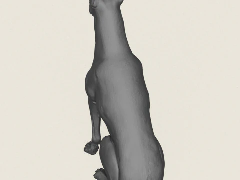 Doberman Dog Pose Collection 3D Print Model