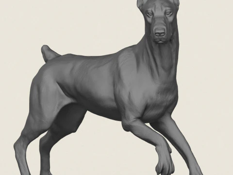 Doberman Dog Pose Collection 3D Print Model