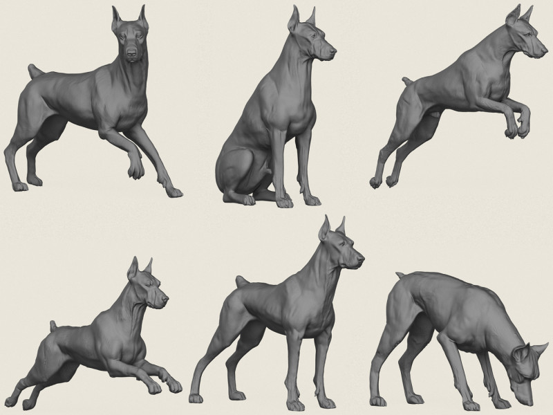Doberman K&ouml;pek Pozu Koleksiyonu 3D Baskı Modeli .c4d .max .obj .3ds .fbx .stl .blend 