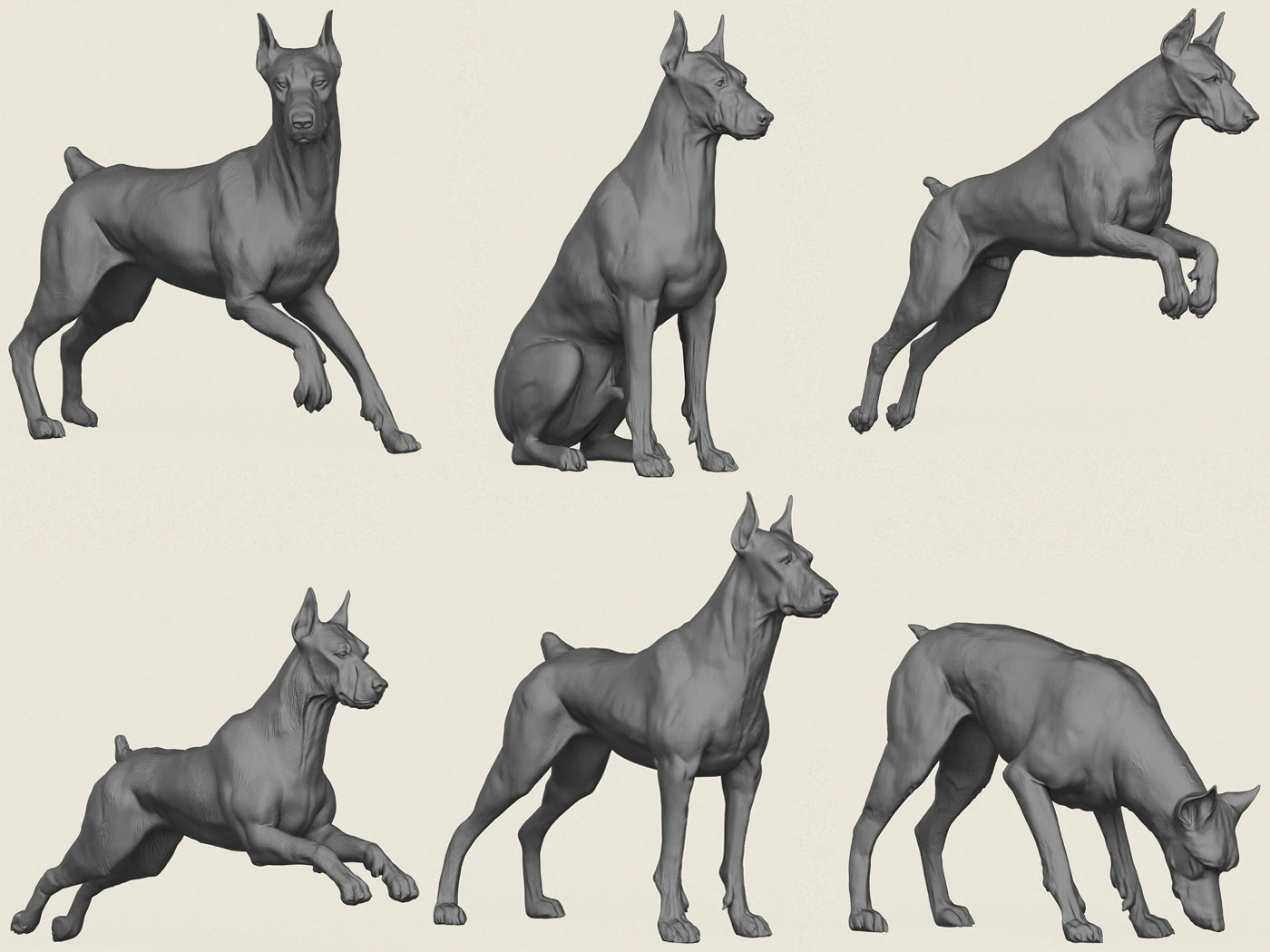 Doberman Dog Pose Collection 3D Print Model .c4d .max .obj .3ds .fbx .stl .blend 