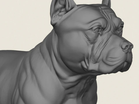 Pitbull Dog Standing 3D Print Model