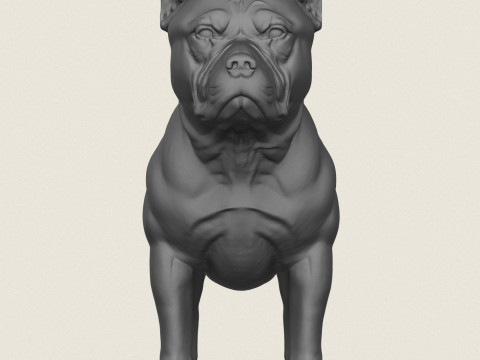 Pitbull Dog Standing 3D Print Model