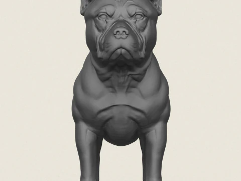 Pitbull Dog Standing 3D Print Model