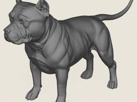 Pitbull Dog Standing 3D Print Model