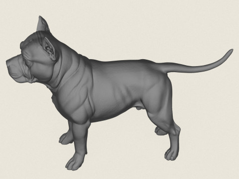 Pitbull Dog Standing 3D Print Model